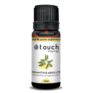 Oliva Doce - Óleo Absoluto 11ml (<i>Osmanthus fragrans lour</i>)