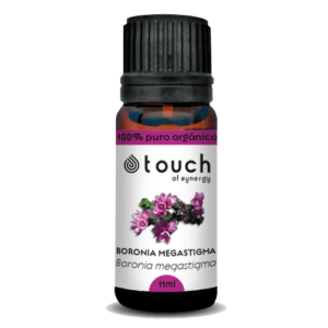 Boronia - Óleo Absoluto 11ml (<i>Boronia megastigma</i>)