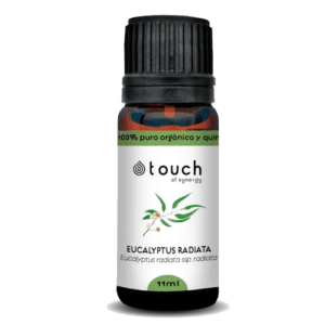 Eucalipto radiata - Óleo Essencial 11ml (<i>Eucalyptus radiata ssp.radiata</i>)
