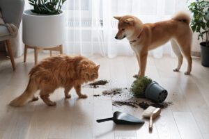 Como escolher o melhor aspirador de pó para casa com animais de estimação